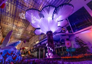 WONDARA – The Power of Flower – Immersive Exhibition แลนด์มาร์กท่องเที่ยวแห่งใหม่ จ.ระยอง ชวนให้สัมผัสกับพลังแห่งดอกไม้แบบ 4 มิติ เปิดให้เข้าชมแล้ววันนี้